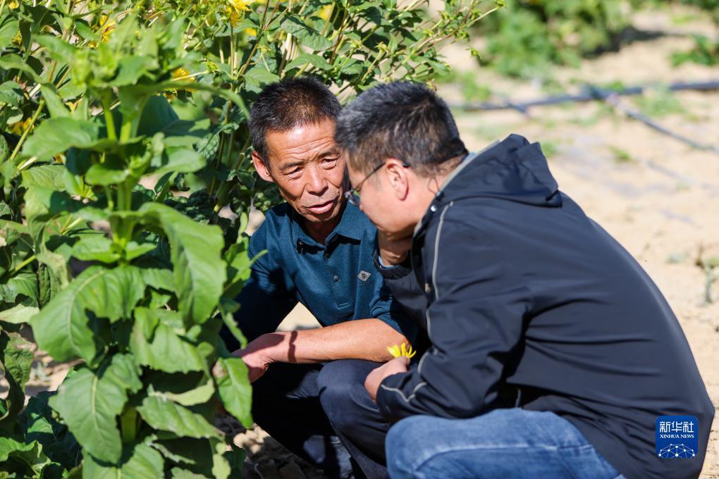 打牌网官网下载